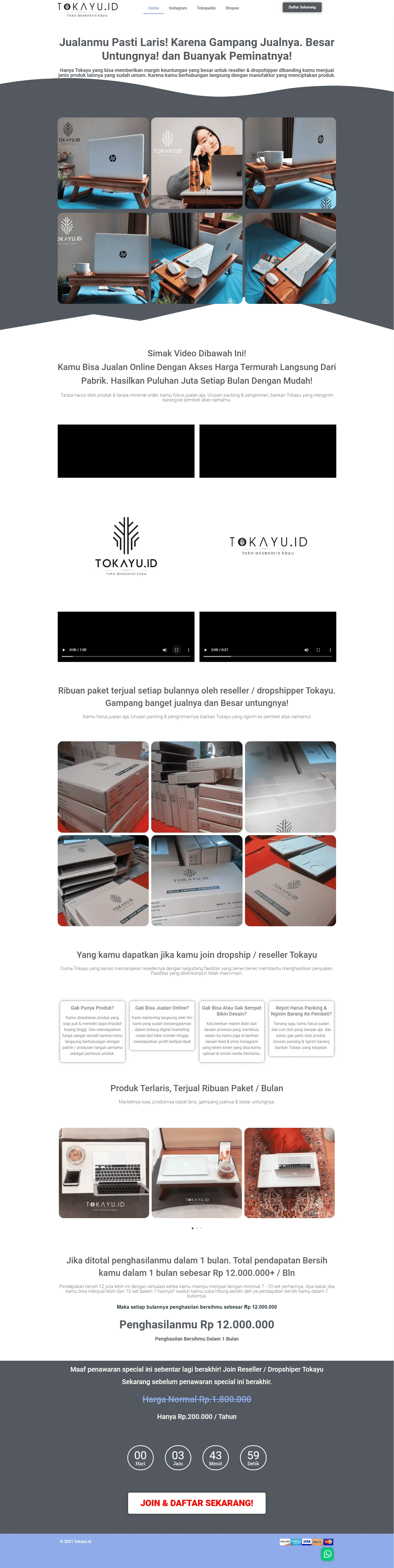 Tokayu.id porto web godi dekstop view 1[1]